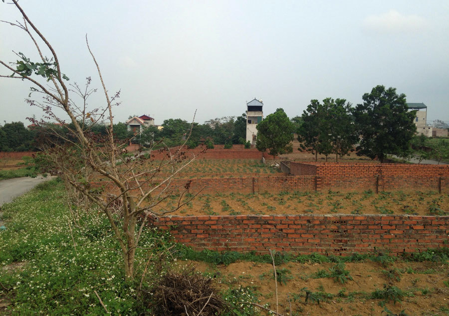 Một tuần tăng giá gấp 3, tranh nhau mảnh đất ven đô đầy cỏ dại-1