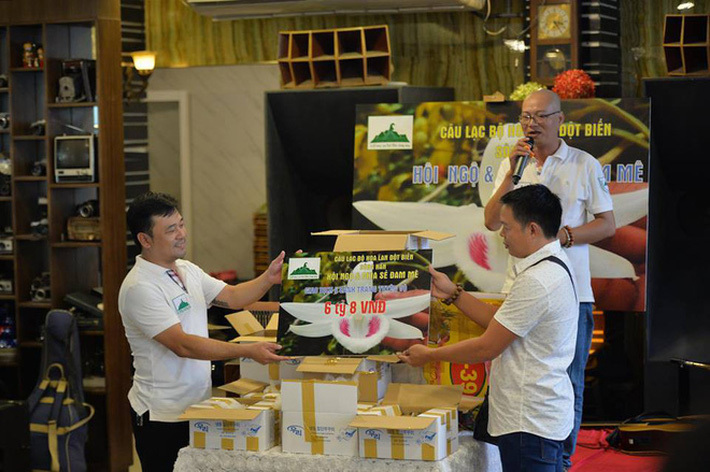 Cây lan đột biến mua 300.000 đồng bán được 600 triệu-2