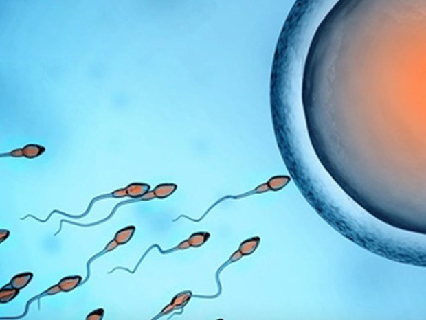 Góc khuất chợ mua bán tinh trùng trên mạng: Giáp mặt sinh viên bán giống để tạo phúc-2