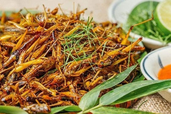 Bộ phận nào của tôm chứa nhiều canxi nhất và bộ phận nào không nên ăn?-6