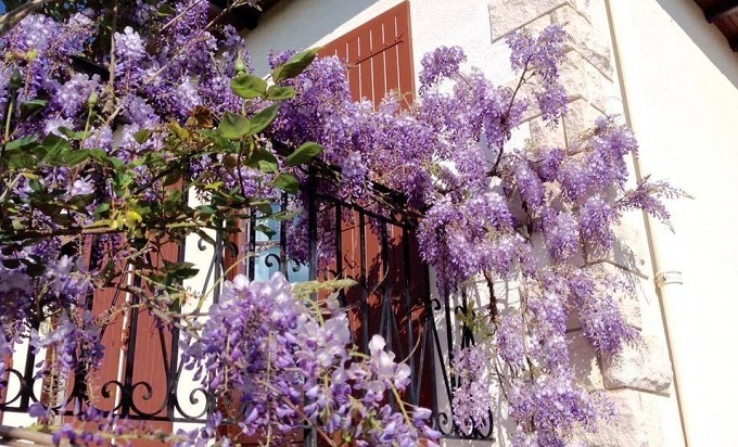 Tôi khó xử vì anh trai chồng 40 tuổi vẫn không chịu đi làm-1