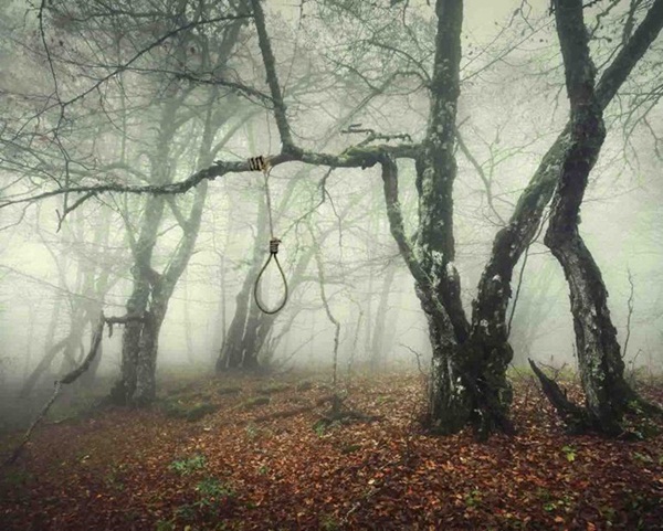 Khu rừng tự sát: Nơi tăm tối và im lặng tuyệt đối với những câu chuyện rùng rợn đầy ám ảnh-3