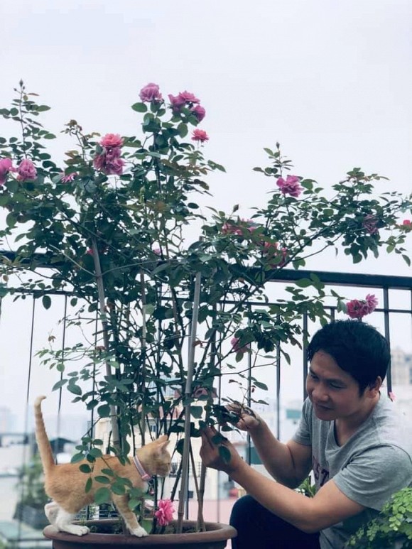 Khu vườn trong hai căn biệt thự của Ông hoàng nhạc đỏ Trọng Tấn-3