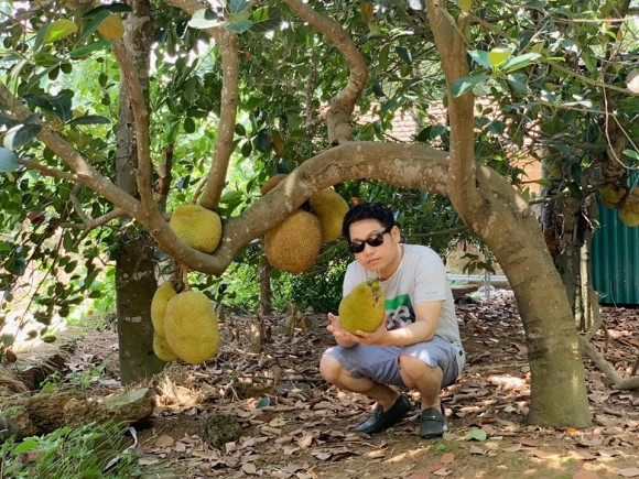 Khu vườn trong hai căn biệt thự của Ông hoàng nhạc đỏ Trọng Tấn-16