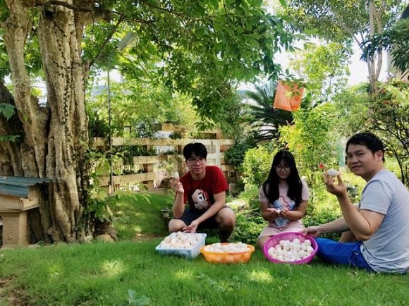 Khu vườn trong hai căn biệt thự của Ông hoàng nhạc đỏ Trọng Tấn-23