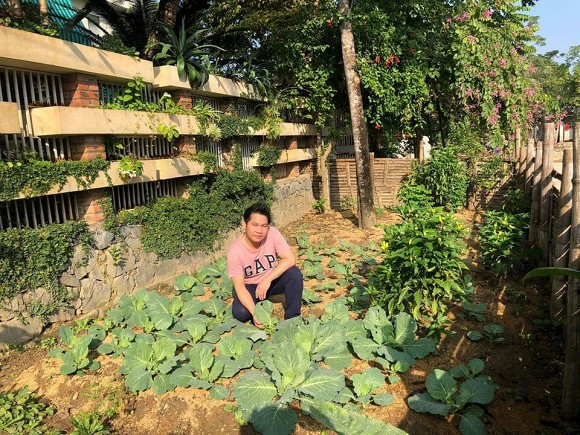 Khu vườn trong hai căn biệt thự của Ông hoàng nhạc đỏ Trọng Tấn-26