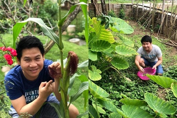 3 cách thiết thực giúp bạn tạo vườn rau xanh sạch trong nhà phố chật hẹp-5