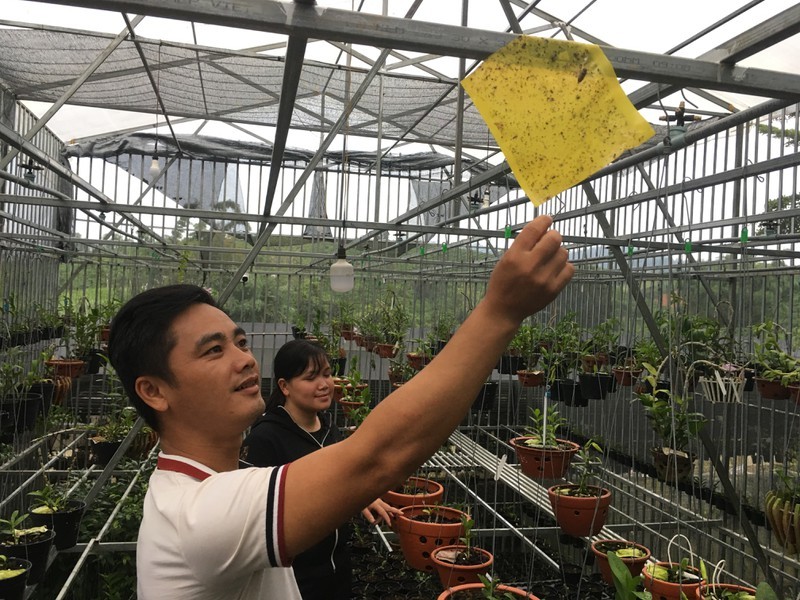 Bán tạ cà phê mua 1 cây lan rừng, sau 2 năm sau có cơ ngơi tiền tỷ-3