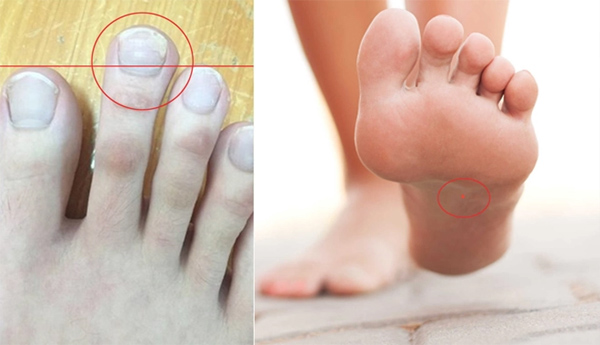 Tướng bàn tay tốt số gia chủ giàu có, phát tài cả đời tiêu không hết tiền-3