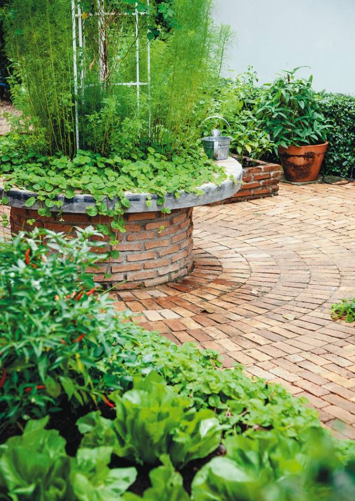 3 cách thiết thực giúp bạn tạo vườn rau xanh sạch trong nhà phố chật hẹp-2