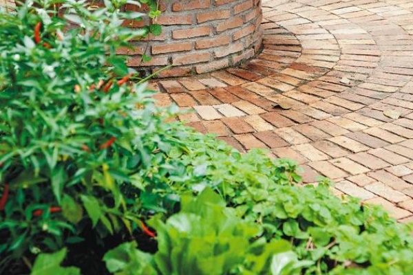 Ngôi nhà cấp 4 xây dựng đơn giản nhưng sở hữu khoảng sân rộng đủ để ngắm trọn vẻ đẹp xanh tươi của thiên nhiên xung quanh-12