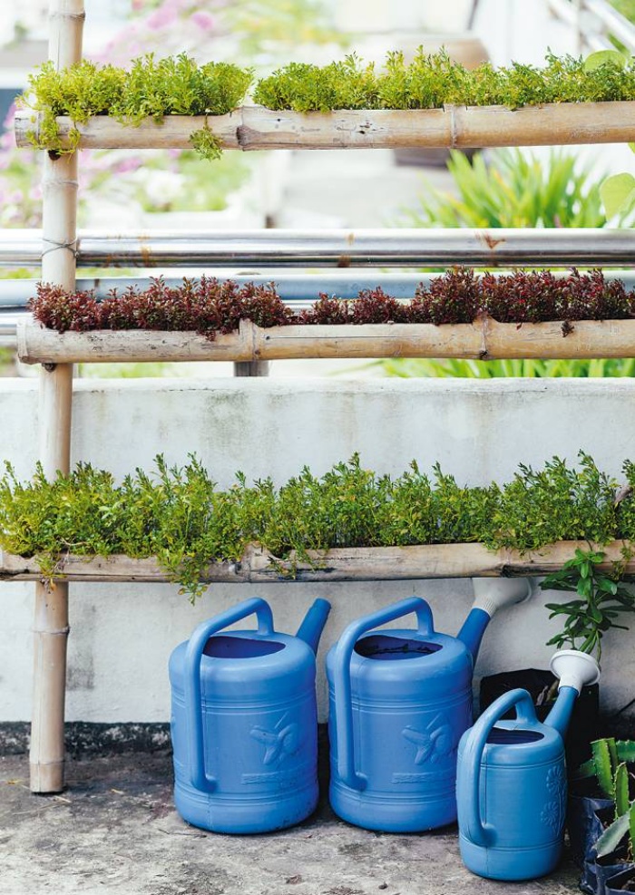 3 cách thiết thực giúp bạn tạo vườn rau xanh sạch trong nhà phố chật hẹp-3