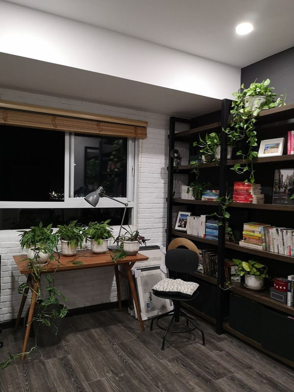 Sở hữu hơn 100 loài cây, nữ MC 8x bật mí bí quyết trồng cây trong nhà vừa đẹp lại chẳng lo thiếu oxy-9