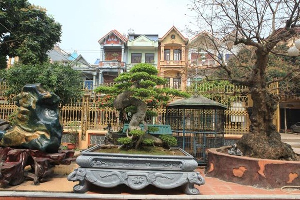 Chiêm ngưỡng cây sanh ngọa hổ tàng long 30 tỷ đồng của đại gia Toàn đôla ở Phú Thọ-2