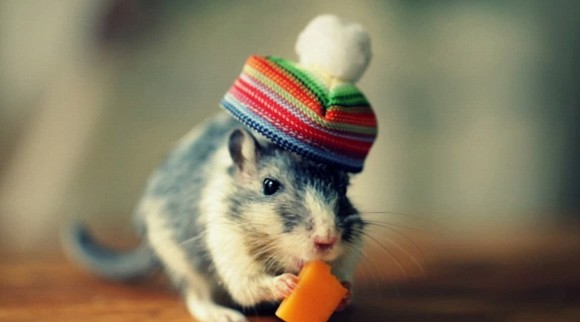 Trong mùa hè này, top 3 con giáp rất dễ gặp vận xui, tài lộc tụt dốc, tiểu nhân cản đường, sức khỏe suy giảm nghiêm trọng-1