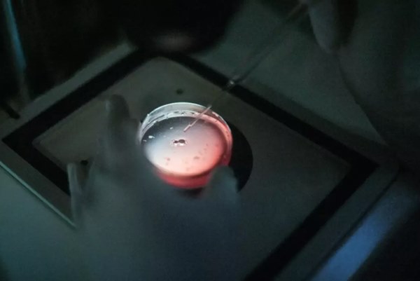 Hy hữu: Hai anh em sinh đôi chào đời cách nhau 10 năm, có nhiều điểm giống nhau đến ngỡ ngàng-4