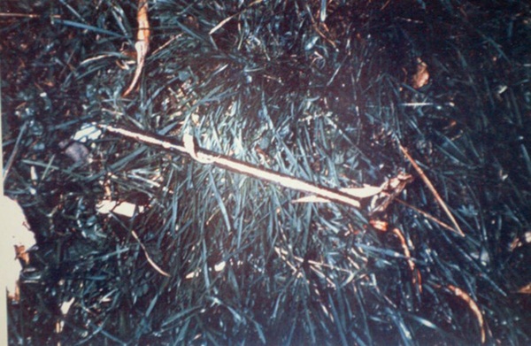 Vụ án giết chết thiếu nữ 14 tuổi xinh đẹp, giỏi giang khiến cảnh sát mất hơn 2 thập kỷ mới phá giải dù hung thủ ở ngay trước mắt-5