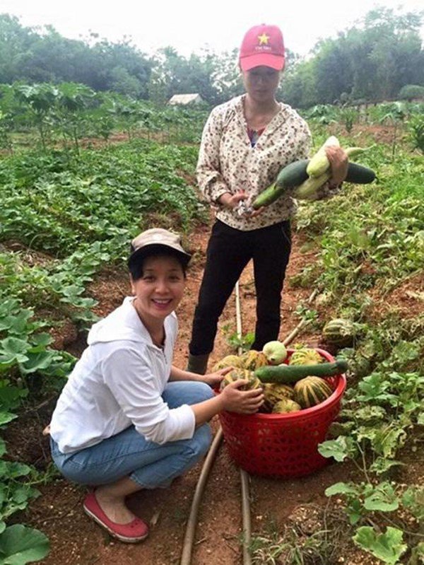 Nhà vườn bạt ngàn của 2 nghệ sĩ miền Bắc: Rau củ đầy đủ, có nhà còn không có điện-6