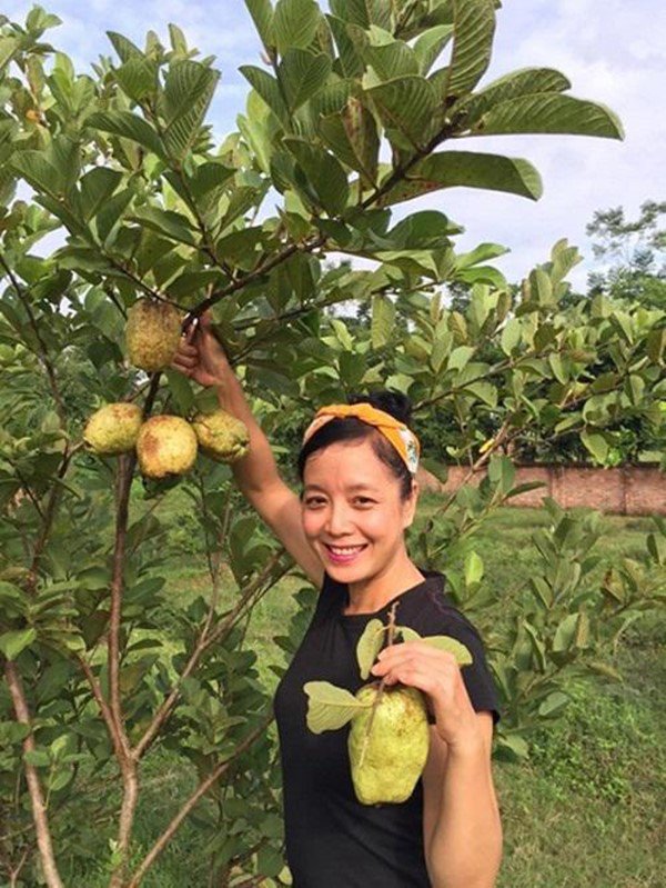 Nhà vườn bạt ngàn của 2 nghệ sĩ miền Bắc: Rau củ đầy đủ, có nhà còn không có điện-7