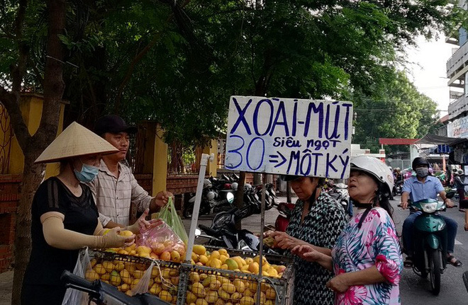 Hơn 700 tấn xoài mini Trung Quốc đổ bộ chợ Sài Gòn-1