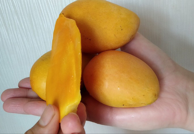 Hơn 700 tấn xoài mini Trung Quốc đổ bộ chợ Sài Gòn-3