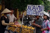 Hơn 700 tấn xoài mini Trung Quốc đổ bộ chợ Sài Gòn