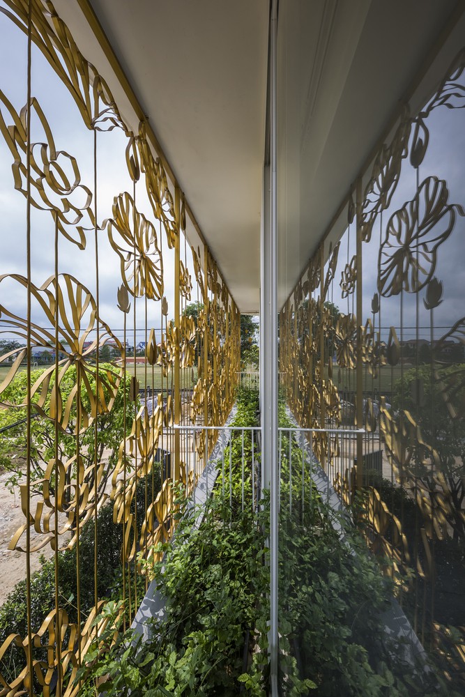 Nhà hoa sen thể hiện nghị lực phi thường của cô giáo khuyết tật-5