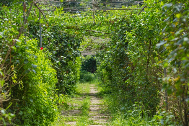 Tận mắt ngôi nhà được làm từ 9.000 vỏ chai nhựa độc nhất ở Hà Nội-12