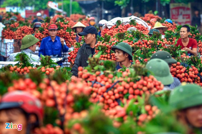 2 tấn vải thiều sang Nhật bán hết sạch với giá 600.000 đồng/kg-2