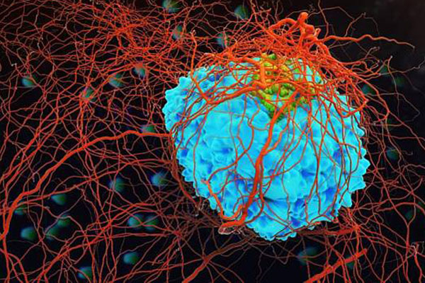 Những lưu ý cực quan trọng khi sử dụng các loại cốc uống nước để tránh hại sức khỏe và chặn đứng nguy cơ bị ung thư-6