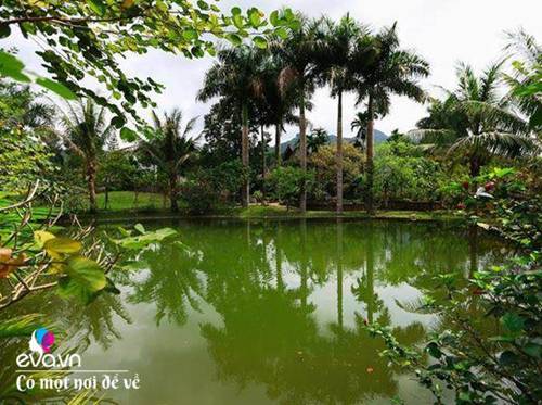 Cô giáo về hưu dựng nhà sàn giữa thung lũng 7000m², tìm bình yên cách Hà Nội 49km-2