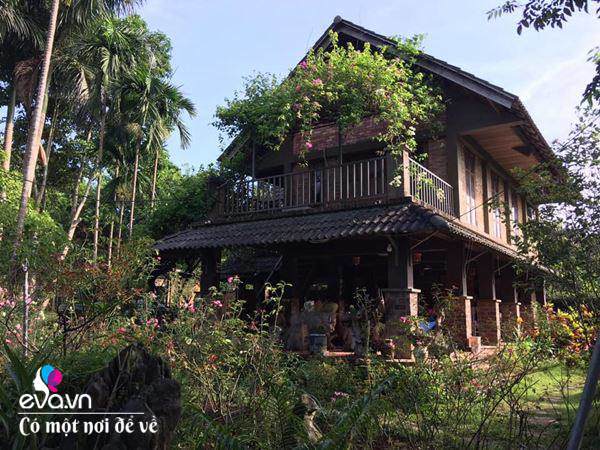 Cô giáo về hưu dựng nhà sàn giữa thung lũng 7000m², tìm bình yên cách Hà Nội 49km-3