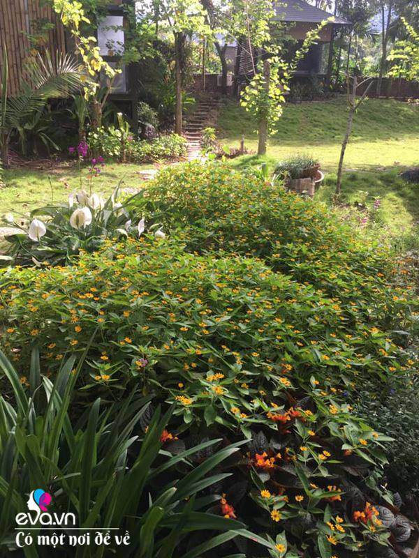 Cô giáo về hưu dựng nhà sàn giữa thung lũng 7000m², tìm bình yên cách Hà Nội 49km-12