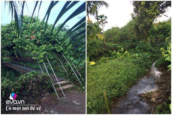 Cô giáo về hưu dựng nhà sàn giữa thung lũng 7000m², tìm bình yên cách Hà Nội 49km-16