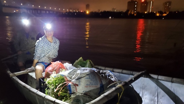Dậy từ 2 giờ hái rau bí, bà trùm kiếm tiền triệu nơi bãi giữa sông Hồng-1