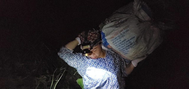 Dậy từ 2 giờ hái rau bí, bà trùm kiếm tiền triệu nơi bãi giữa sông Hồng-3