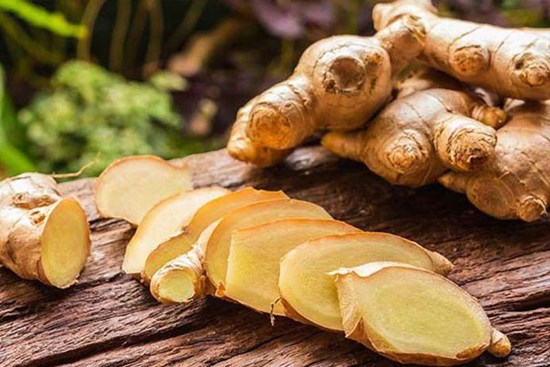 Dùng tăm đâm vào nhánh gừng, vài tháng sau có gừng ăn 