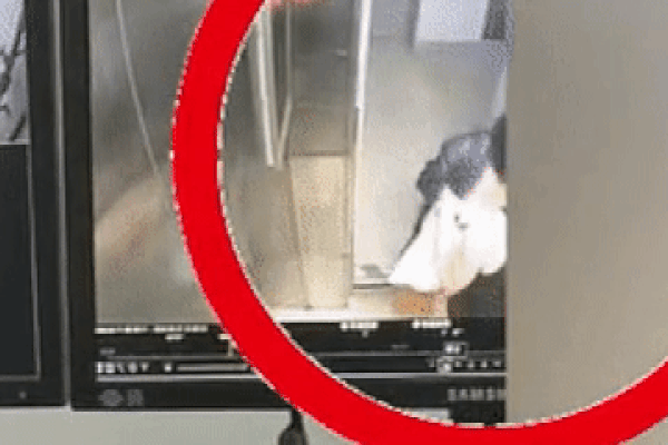 Nhặt được vali bên sông tưởng chứa đầy tiền mặt, hai cô gái sốc nặng khi kiểm tra-3