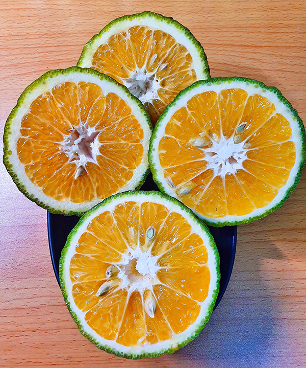 Hè nắng nóng 39-40 độ, về nhà thư giãn ngay với cách làm kem cam sữa mát lành ngon ngọt-3