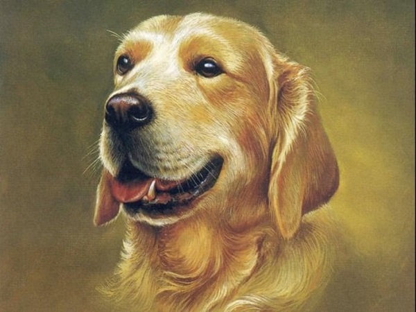 Sau Tết Đoan Ngọ, 3 con giáp được Thần Tài chiếu cố, sự nghiệp khởi sắc, tài lộc đổ về không ngớt-3