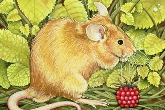 Sau Tết Đoan Ngọ, 3 con giáp được Thần Tài chiếu cố, sự nghiệp khởi sắc, tài lộc đổ về không ngớt