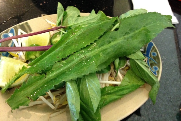 Cây gia vị vứt đâu cũng sống được, ngắt vài nhánh cho vào món ăn lại chữa được nhiều bệnh-6