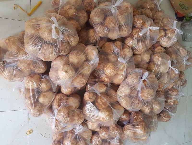 Ngày bán 5.000 quả dừa tí hon, hàng lạ gây sốt mùa nắng cháy-3