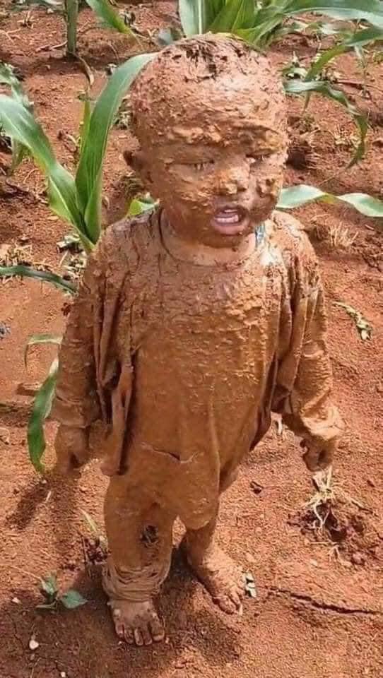 Đang yên đang lành thì đồng ruộng tự nhiên va vào người, cậu bé nâu từ đầu đến chân như thỏi socola đang chảy nước-2