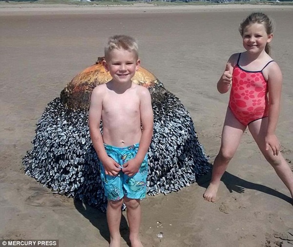 Cho con nô đùa chụp ảnh với vật thể lạ trên bãi biển, vài ngày sau cặp vợ chồng thót tim phát hiện sự thật, 2 đứa trẻ thoát chết thần kỳ-1