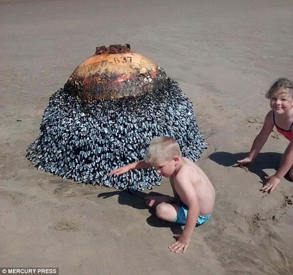 Cho con nô đùa chụp ảnh với vật thể lạ trên bãi biển, vài ngày sau cặp vợ chồng thót tim phát hiện sự thật, 2 đứa trẻ thoát chết thần kỳ-2