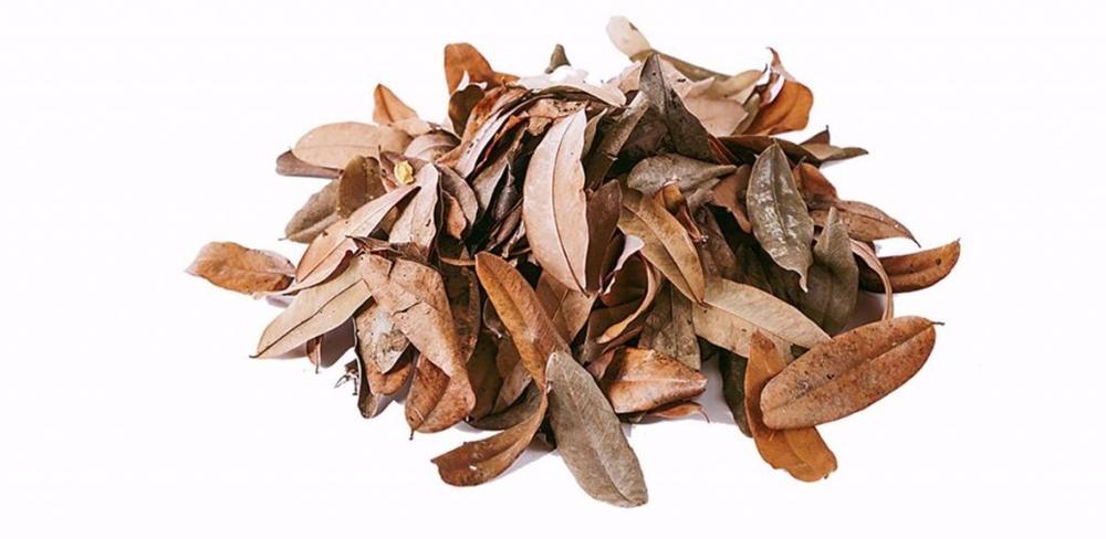 Tự làm phân bón từ thực phẩm bỏ đi, vừa tiết kiệm chi phí vừa giúp cây lớn nhanh như thổi-2