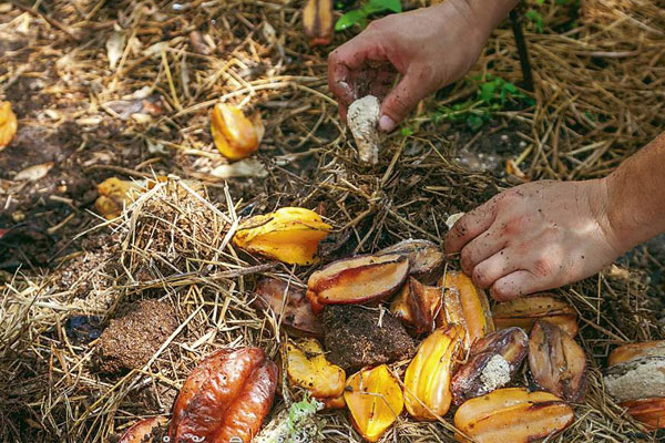 Mẹo đánh bay cảm giác bị cay ớt trong vòng 2 giây, mẹ nào không biết hối hận cả đời-2