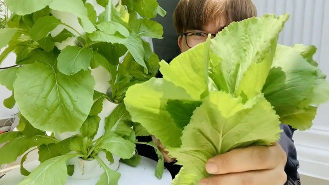 Món lẩu 0 đồng của MC Đại Nghĩa chỉ có rau mà làm nhiều người phát thèm-5