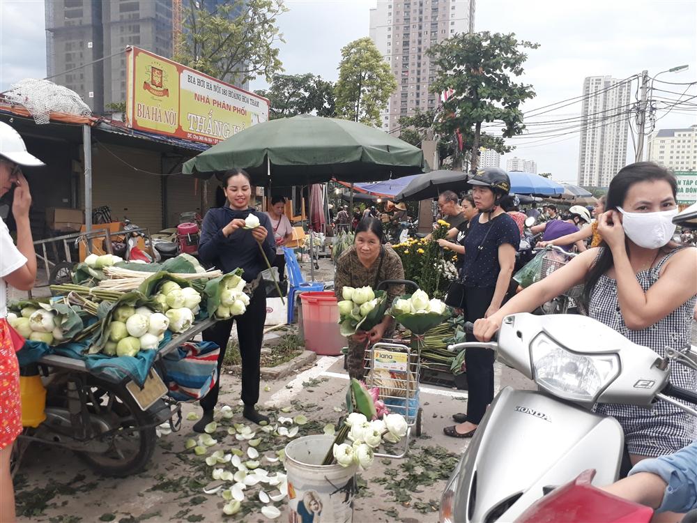 Tết Đoan Ngọ sen trắng cháy hàng, 100 ngàn/bó khách tranh nhau-1